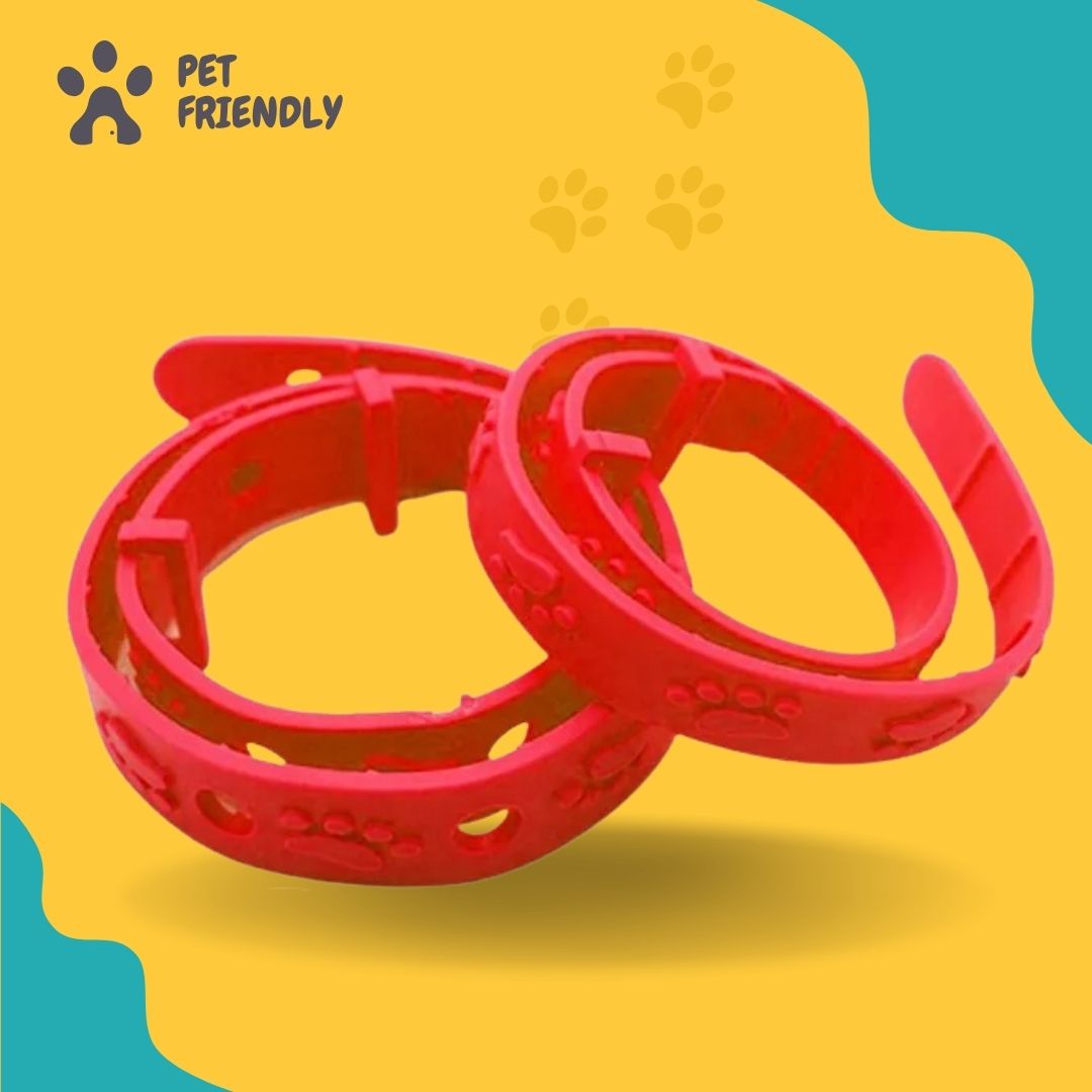 Combo Pet Friendly