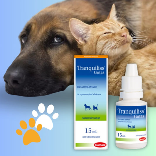 Tranquiliss - Pet Friendly