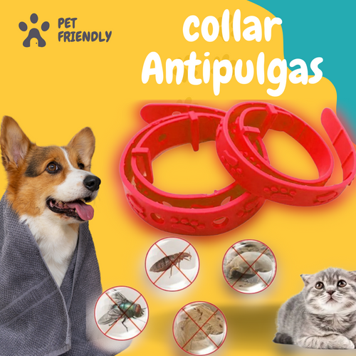 Collar Antipulgas